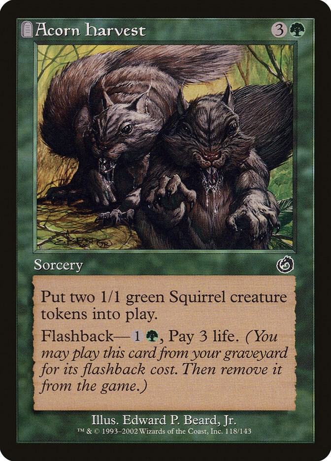 Acorn Harvest #118 Torment