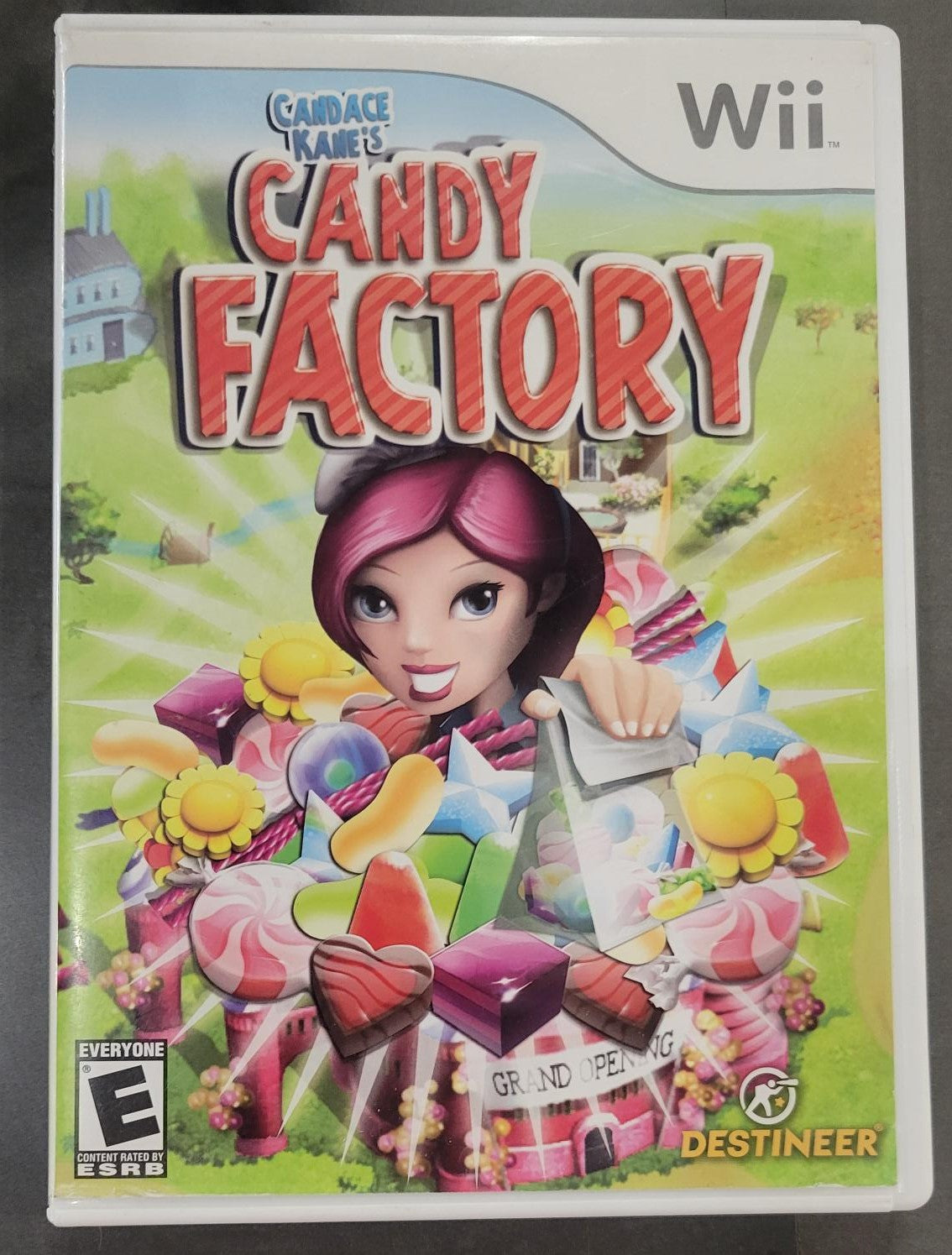 Wii Candace Kane's Candy Factory (No Instructions)