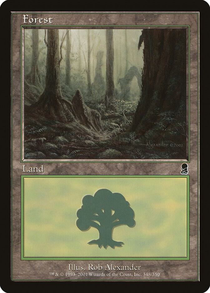 Forest #348 Odyssey