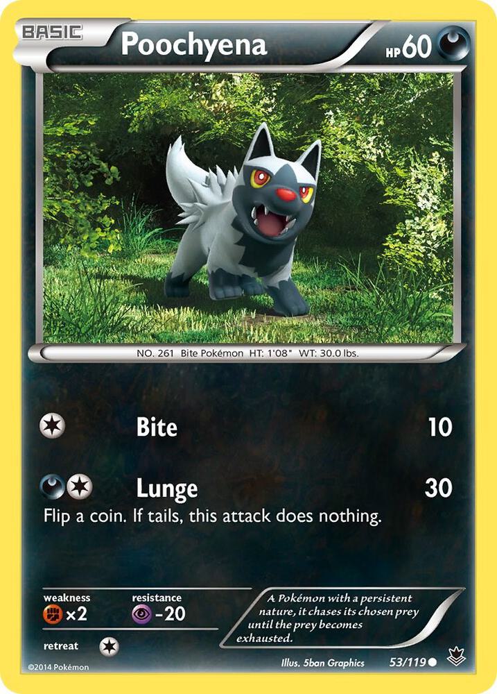 Poochyena #53 XY - Phantom Forces