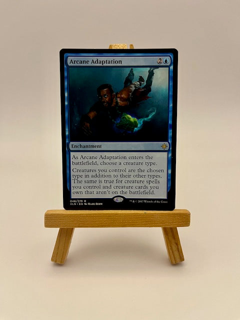 Magic the Gathering Arcane Adaptation Card