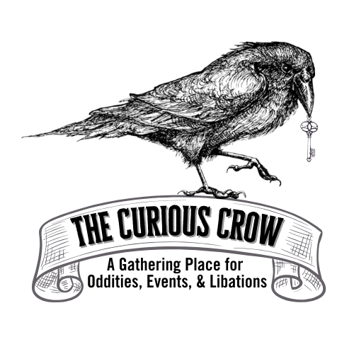 The Curious Crow Company