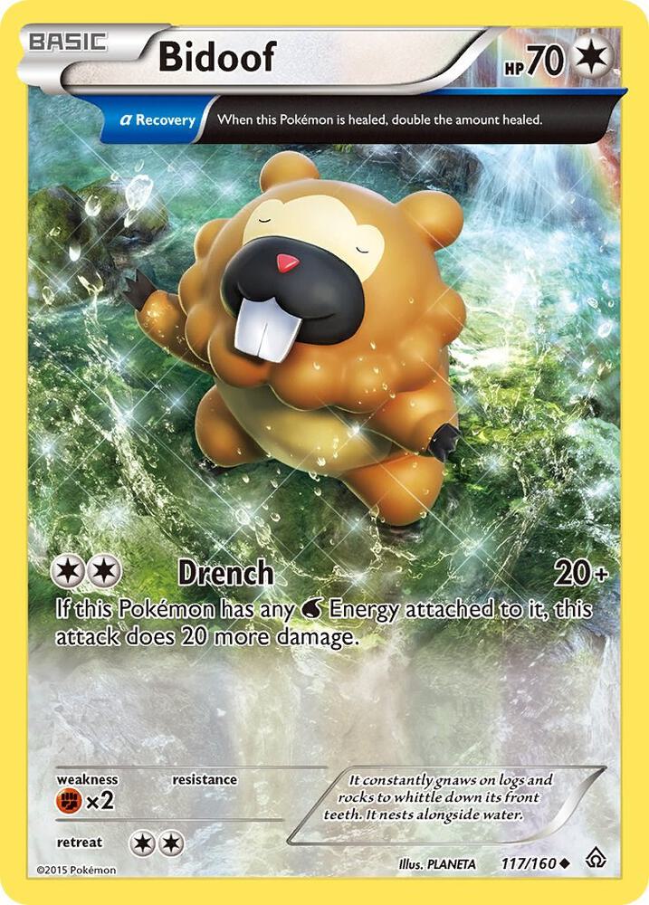 Bidoof (Alpha) #117 XY - Primal Clash