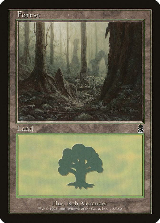 Forest #348 Odyssey